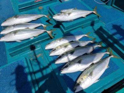 2021年4月12日の釣果・お知らせの写真 2