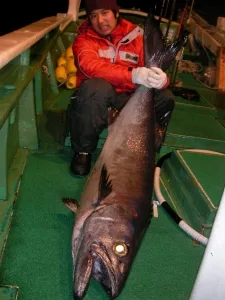 2012年1月8日の釣果・お知らせの写真 7