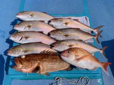 2025年9月22日の釣果・お知らせの写真 7