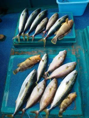 2022年10月22日の釣果・お知らせの写真 9