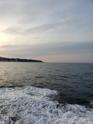 2020年4月3日の釣果・お知らせの写真