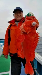 2016年12月12日の釣果・お知らせの写真