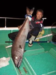 2006年11月18日の釣果・お知らせの写真