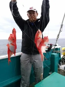 2017年6月29日の釣果・お知らせの写真