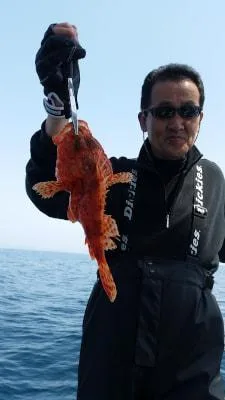 2018年3月31日の釣果・お知らせの写真 2