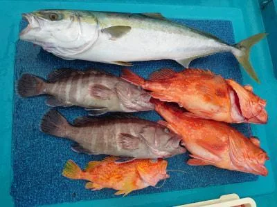 2023年5月6日の釣果・お知らせの写真 9