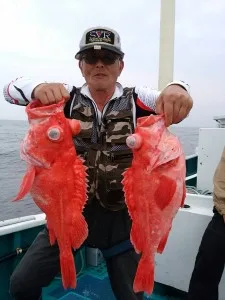 2017年5月31日の釣果・お知らせの写真 2
