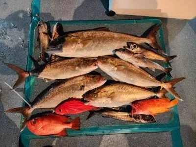 2025年12月28日の釣果・お知らせの写真 5