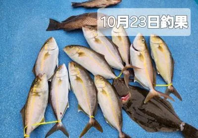 2024年10月25日の釣果・お知らせの写真 7