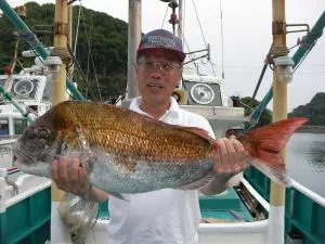 2009年5月20日の釣果・お知らせの写真