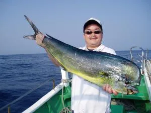 2006年6月19日の釣果・お知らせの写真