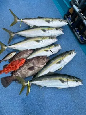2022年5月16日の釣果・お知らせの写真 8