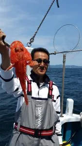 2017年6月3日の釣果・お知らせの写真 3