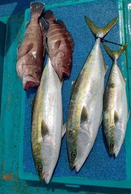 2021年3月24日の釣果・お知らせの写真
