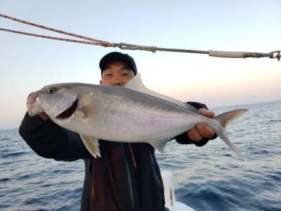 2022年11月12日の釣果・お知らせの写真