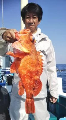 2019年5月25日の釣果・お知らせの写真 6