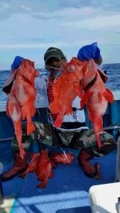2016年7月3日の釣果・お知らせの写真