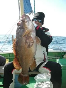 2009年1月25日の釣果・お知らせの写真