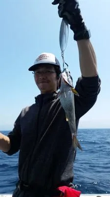 2018年6月9日の釣果・お知らせの写真