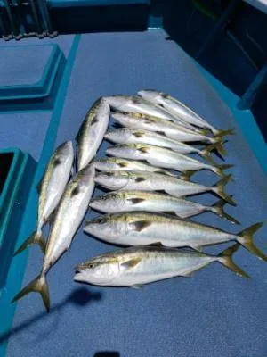 2022年6月2日の釣果・お知らせの写真 2