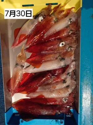 2026年7月31日の釣果・お知らせの写真 5