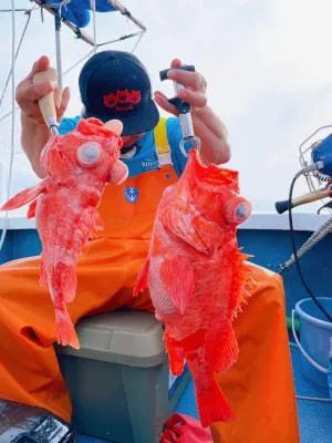 2024年6月2日の釣果・お知らせの写真 9