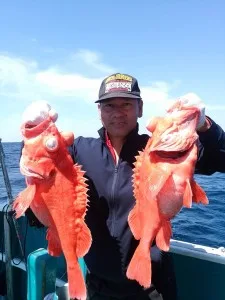 2017年6月4日の釣果・お知らせの写真 5