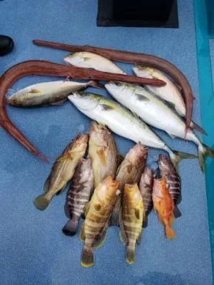 2022年11月1日の釣果・お知らせの写真 2