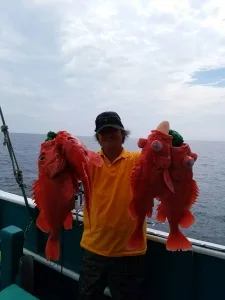 2016年6月18日の釣果・お知らせの写真 2