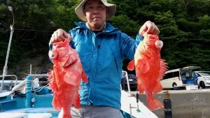 2017年6月4日の釣果・お知らせの写真 1