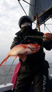 2017年12月16日の釣果・お知らせの写真 2