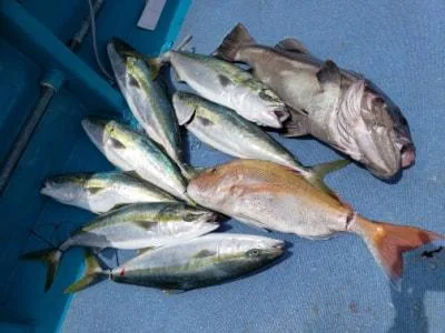 2021年5月1日の釣果・お知らせの写真