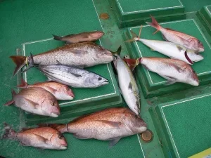2010年10月21日の釣果・お知らせの写真 6