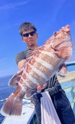 2026年5月10日の釣果・お知らせの写真