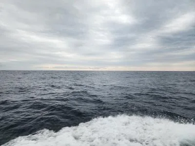 2023年5月31日の釣果・お知らせの写真
