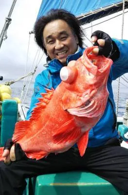 2019年6月11日の釣果・お知らせの写真