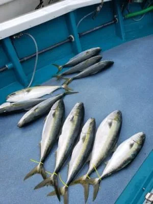 2021年4月17日の釣果・お知らせの写真 5