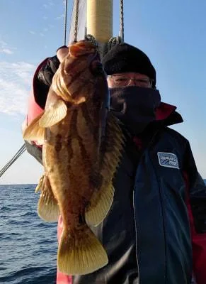 2022年12月28日の釣果・お知らせの写真 1