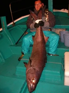 2011年3月5日の釣果・お知らせの写真