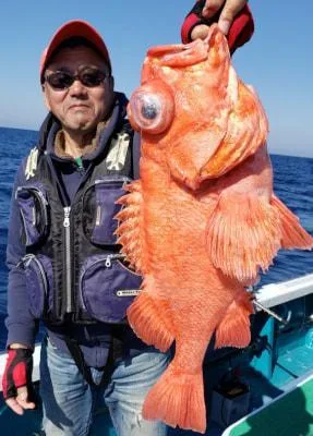 2019年5月25日の釣果・お知らせの写真 2