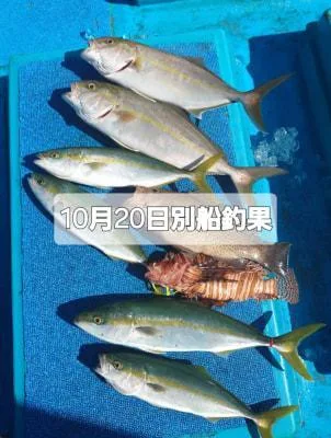 2024年10月25日の釣果・お知らせの写真 5