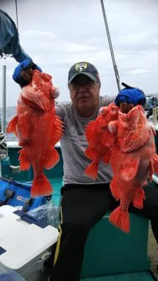 2018年5月29日の釣果・お知らせの写真
