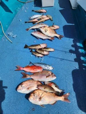 2023年9月9日の釣果・お知らせの写真 5