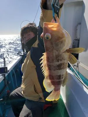 2020年2月24日の釣果・お知らせの写真 2