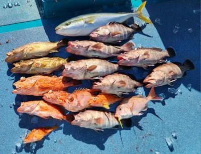 2023年12月10日の釣果・お知らせの写真 4
