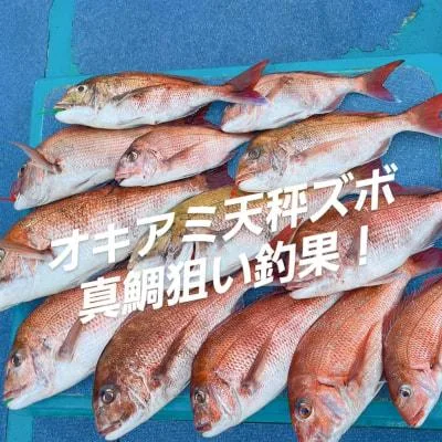 2026年4月18日の釣果・お知らせの写真 10