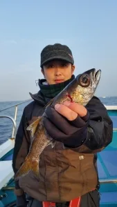 2017年1月30日の釣果・お知らせの写真 3