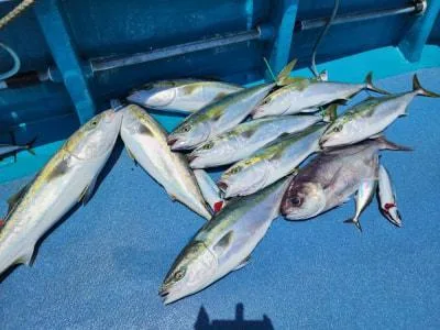 2023年6月17日の釣果・お知らせの写真 4