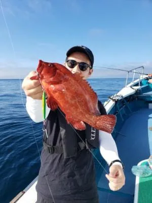 2022年6月28日の釣果・お知らせの写真 2