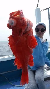 2017年6月5日の釣果・お知らせの写真